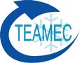 TEAMEC Inyector 810 087
