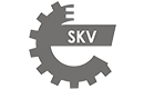 ESEN SKV Radlagersatz, OENummer 8V0598611, 29SKV011