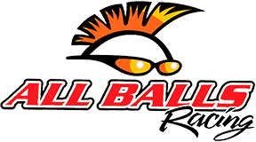 ALL BALLS RACING Filtro de aire de motor negro