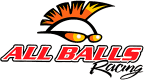 ALL BALLS RACING Autoteile Originalteile