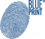 BLUE PRINT katalog : Pasek wielorowkowy