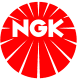 NGK Ignition leads MG