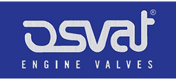 OSVAT 1919 Válvula de admissão Volvo V40 645 2.0 T 163 cv Gasolina 2003