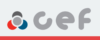 CEF 82 00 019 096