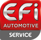 Oryginalne EFI AUTOMOTIVE 157400