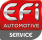 EFI AUTOMOTIVE 155225