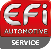 EFI AUTOMOTIVE 33110 4X500