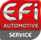 Original EFI AUTOMOTIVE 155011