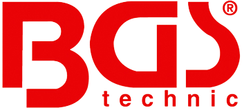 BGS