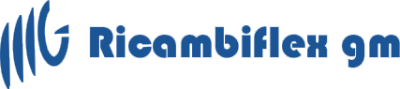 RICAMBIFLEX GM