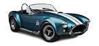 AC COBRA Temperature sensor price