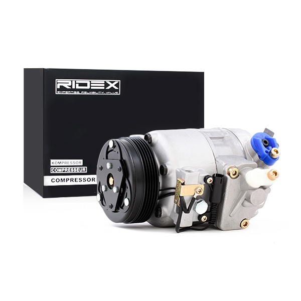 Image of RIDEX Compressore Aria Condizionata PAG 46 447K0095 Compressore Climatizzatore,Compressore Clima BMW,3 Limousine (E46),5 Limousine (E60)