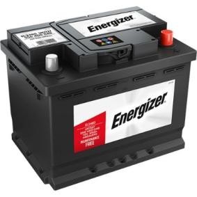 CENTRA CC700 Standard Batterie 12V 70Ah 640A B13 Batterie au plomb