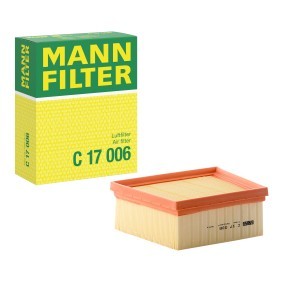 MANN-FILTER Luftfilter C 17 011 Filtereinsatz