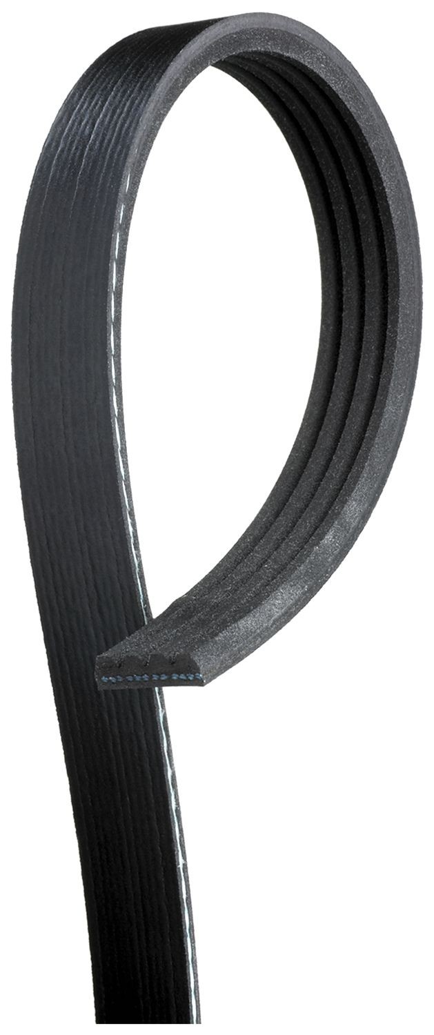 Horka Courroie Élastique PVC Noir 