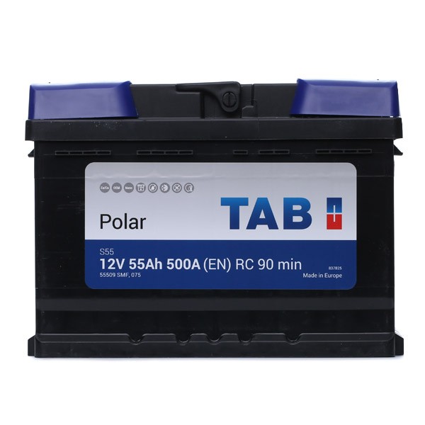 246455 TAB Polar 55559 Batterie 12V 55Ah 500A B13 L2 Batterie au