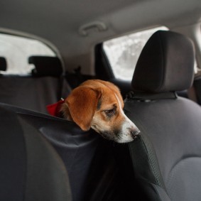 Comprar Protector para asiento de coche para perros, funda para maletero,  alfombrilla transportadora para perros, protector para asiento de coche  para perros, hamaca, protección para maletero de coche