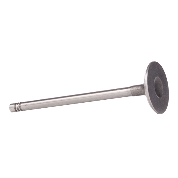 Einlassventil 038 198 119 C