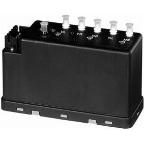 Unterdruckpumpe, Zentralverriegelung