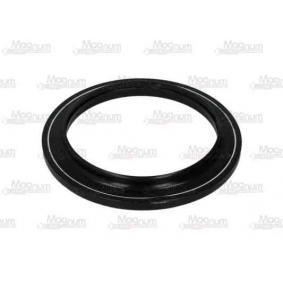 Stoßdämpferaufnahme