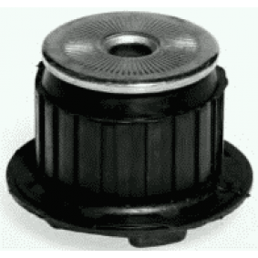 Lagerung, Schaltgetriebeträger