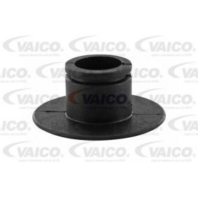 Buchse, Schaltstange