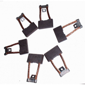 Halter, Kohlebürsten