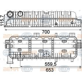 Wasserkasten, Kühler