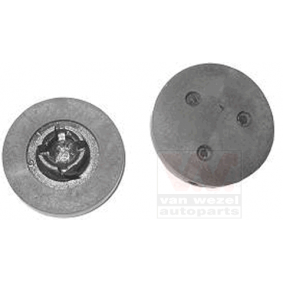 Spiegelkopf, Caravanspiegel