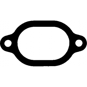 Dichtung, Kühlmittelflansch