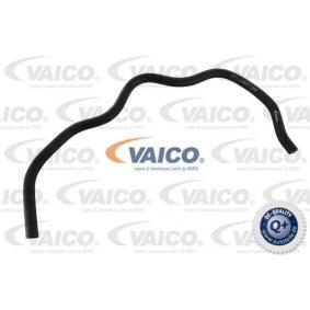 Entlüftungsschlauch, Ausgleichsbehälter