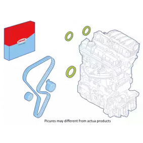 Wellendichtringsatz, Motor