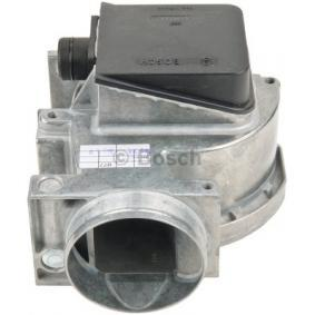 Luftmassenmesser (LMM)