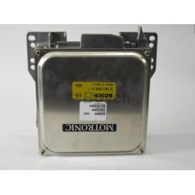 Einspritzsteuergerät