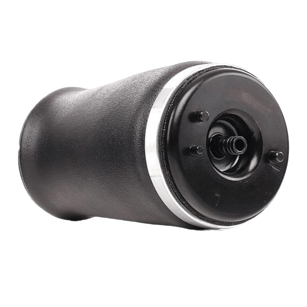 Luftfederbein A 166 320 06 25