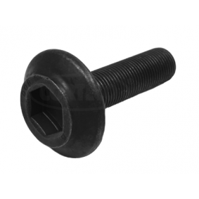 Schraubensatz, Riemenscheibe-Kurbelwelle