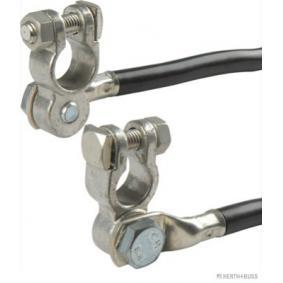 Câble de connexion, batterie