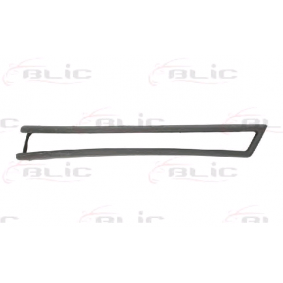 Zierblende, Blinkleuchte