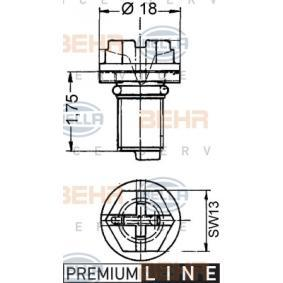 Schraube, Kühlerverschluss
