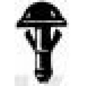 Reparatursatz, Scheibenwaschwasserdüse