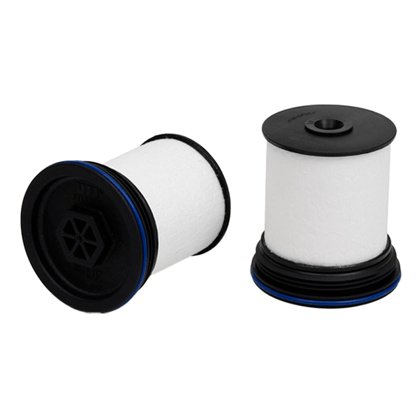 Kraftstofffiltersatz 4 818 693