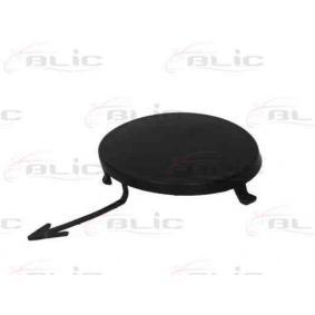 Stoßfängerabdeckung, Anhängevorrichtung