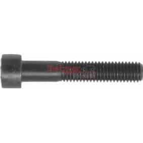 Tornillo, pinza de freno