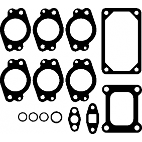 Zestaw uszczelek, kolektor wydechowy dla DOBLO platforma / podwozie (263) 1.6D Multijet (263HXE1B, 263HXS1B, 263HXY1B, 263YXE1B,... 552 80 444 kod silnika