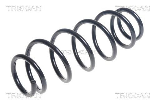 Spiralfjäder TRISCAN 8750 42106