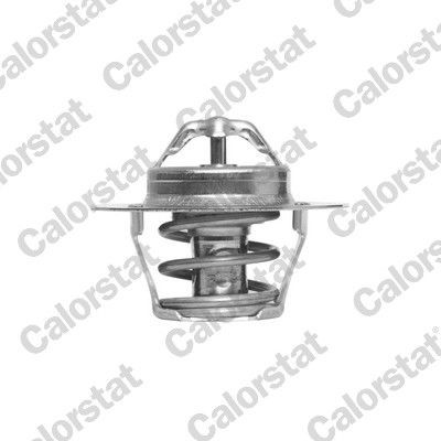 Termostat, żrodek chłodzący CALORSTAT by Vernet TH6318.89J-Zdjęcie-0