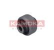 KAMOKA 8800238 für RENAULT LAGUNA 2006 günstig online
