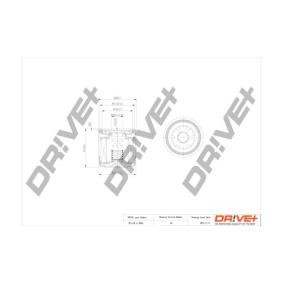 Filtro de aceite DP1110.11.0041 2 Hatchback (DE_, DH_3) 1.3 BiFuel ac 2014
