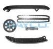 DAYCO Timing chain VW 11584271
