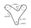 Synchronriemen FORD USA Escape I GATES FleetRunner™ Micro-V® Stretch Fit® 5379XS Original Katalog